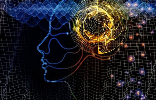 北京理工大学“3+2”留学项目 计算机软件开发专业深度解析